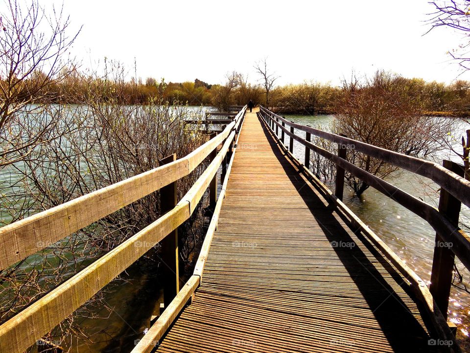 wooden perspective