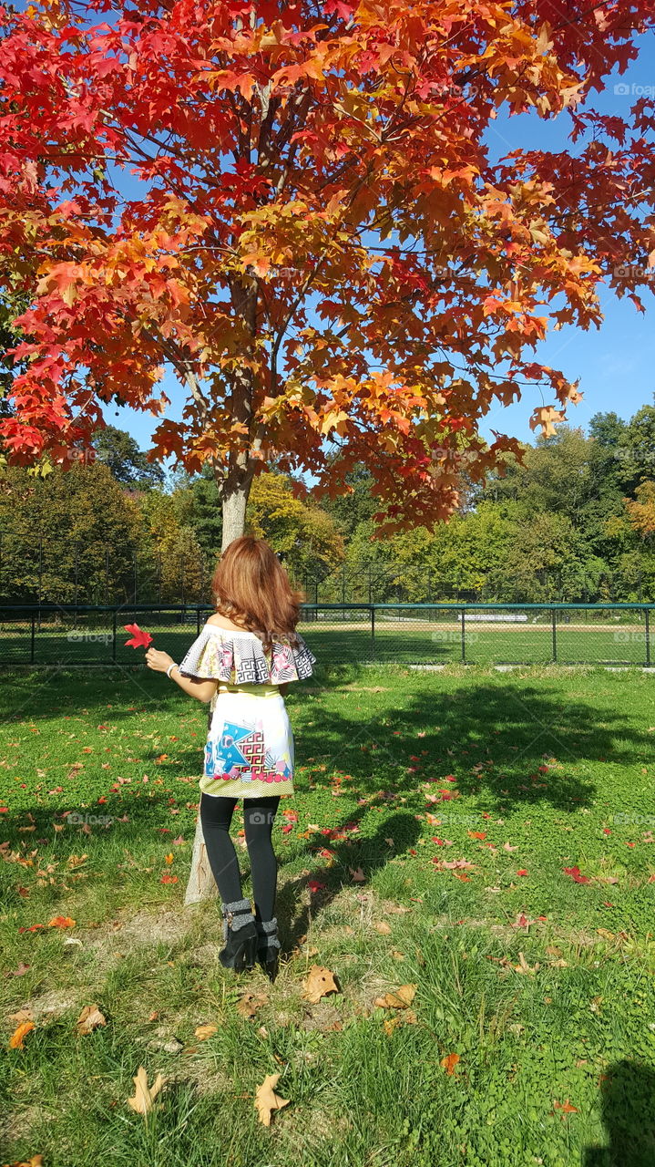 Autumn in New York City. 🍁🍂🍁🍂🍂
