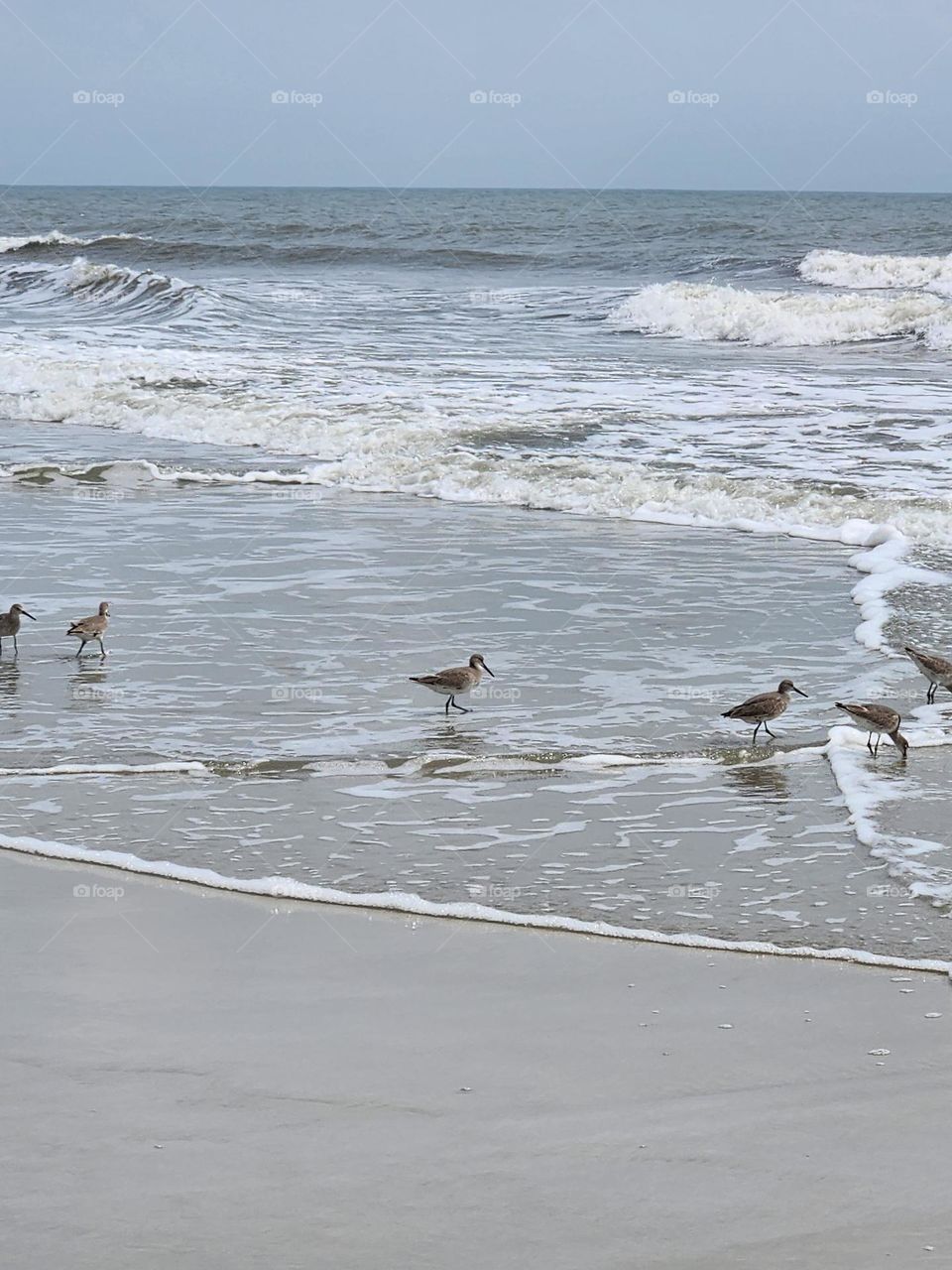 getting their feet wet