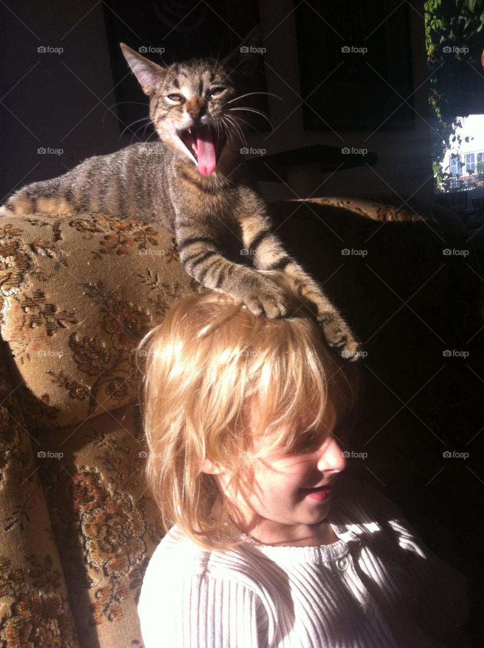 Cat and Child 