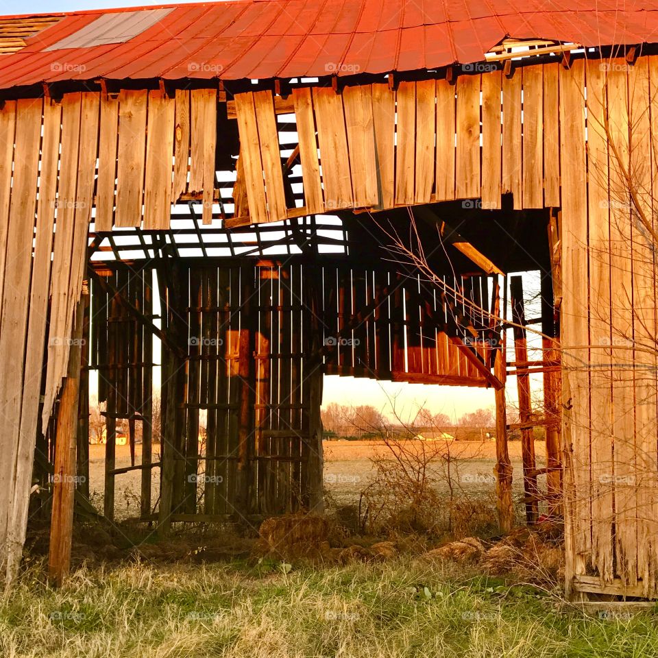 Old Barn at Slaughter Pen Farm