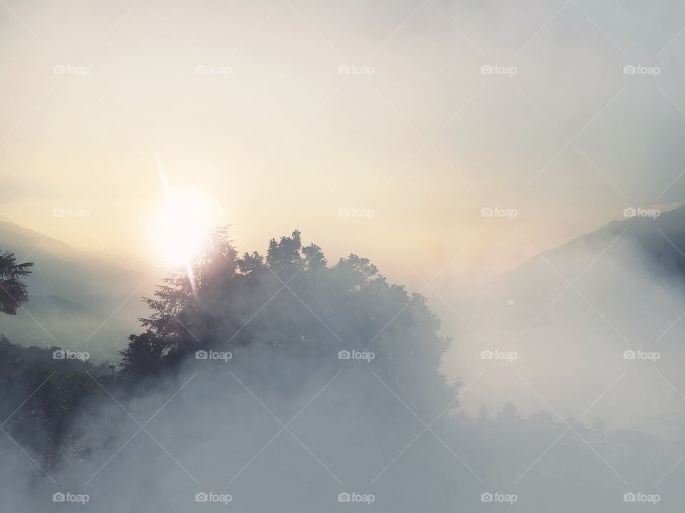 Fog, Landscape, Mist, Sky, Dawn