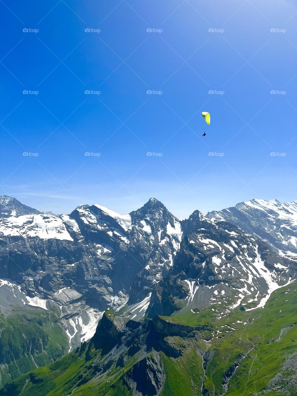 Paragliding in the Swiss Alps