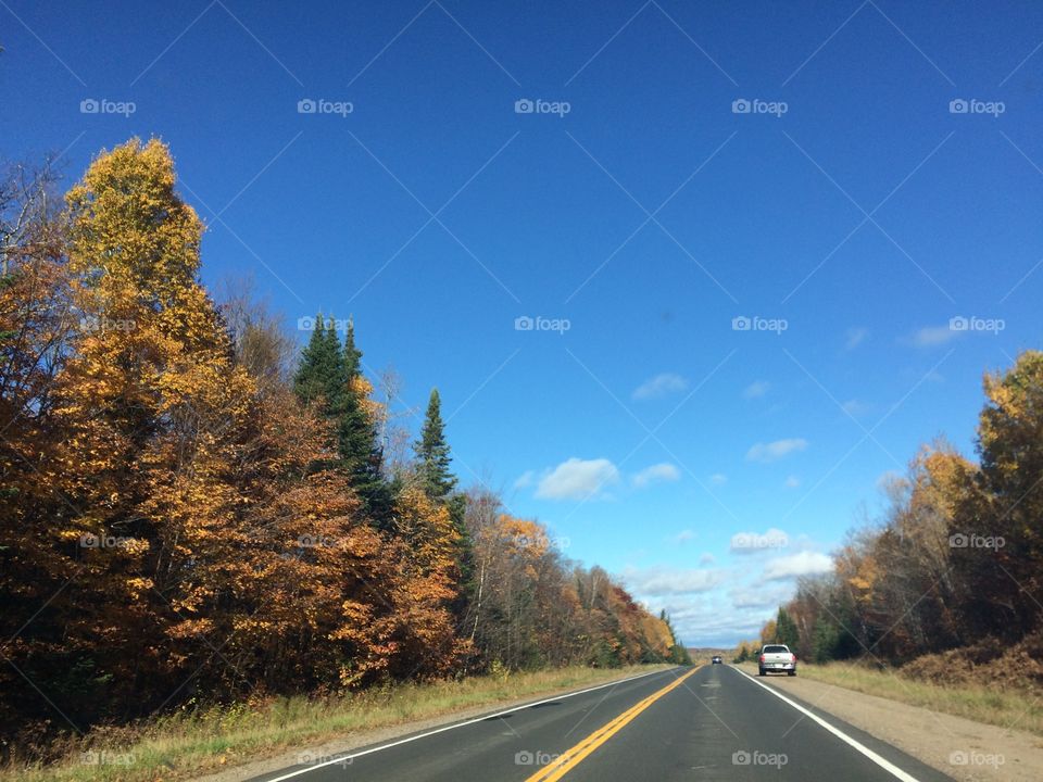 Road trip, nature, fall