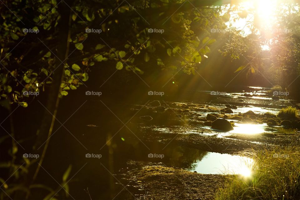 Säveån sunset