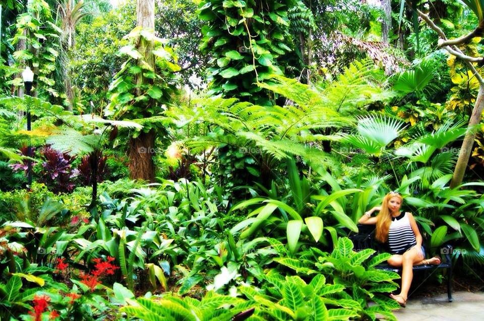 Jungle garden