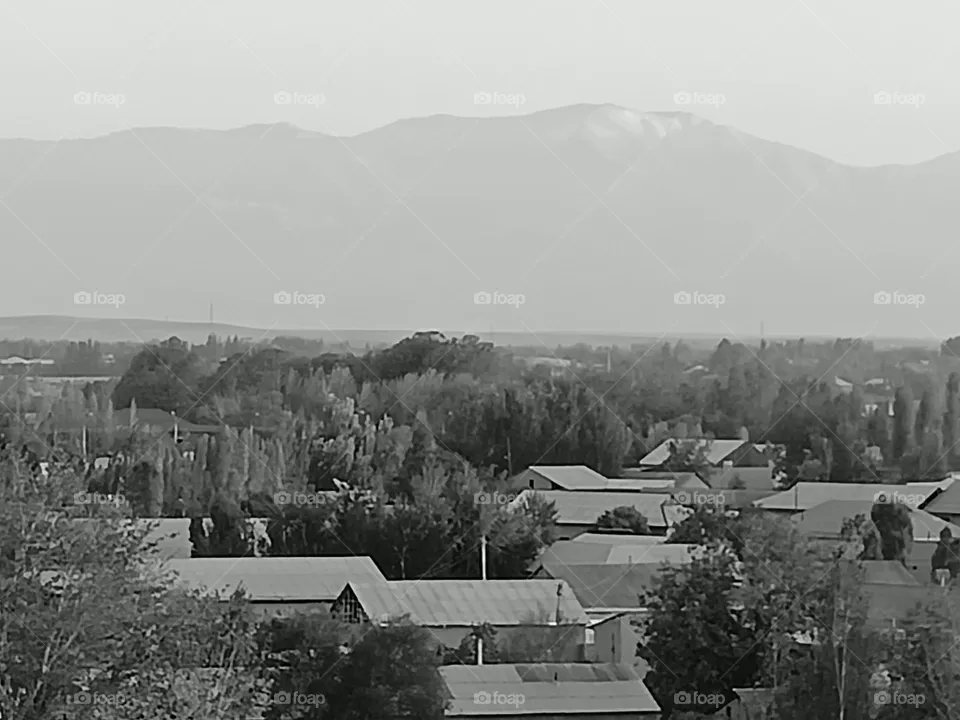 Village