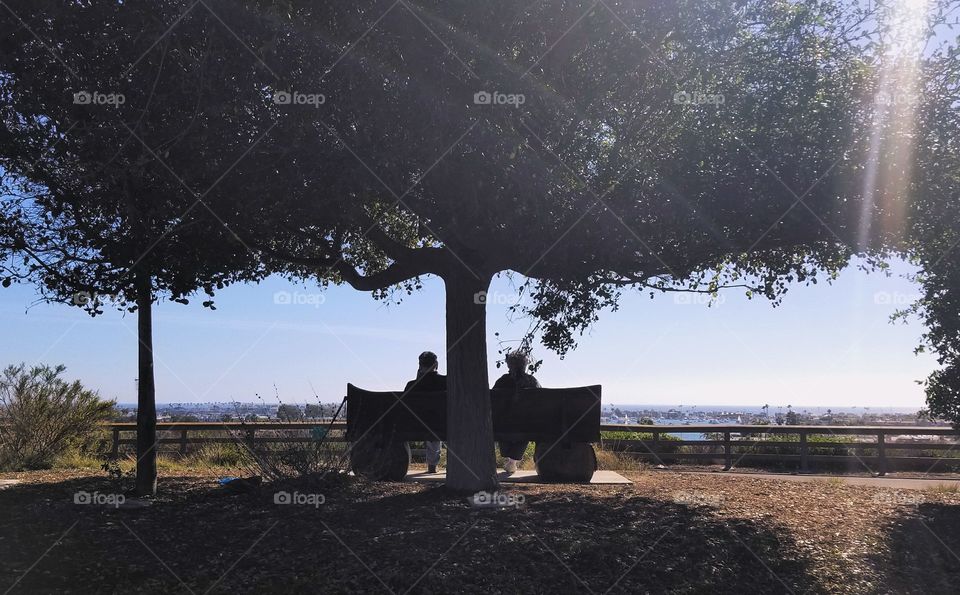 silhouette of an old couple under a tree at a park