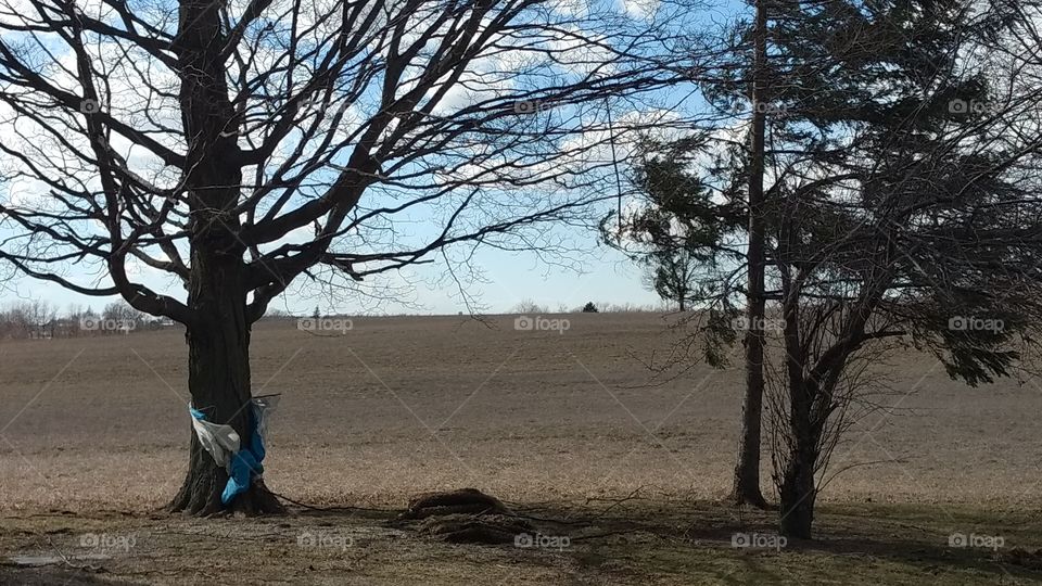 A Very Windy Spring Day