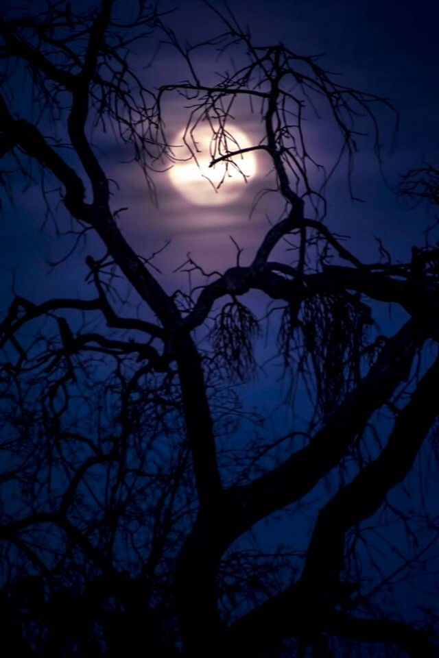silhouette