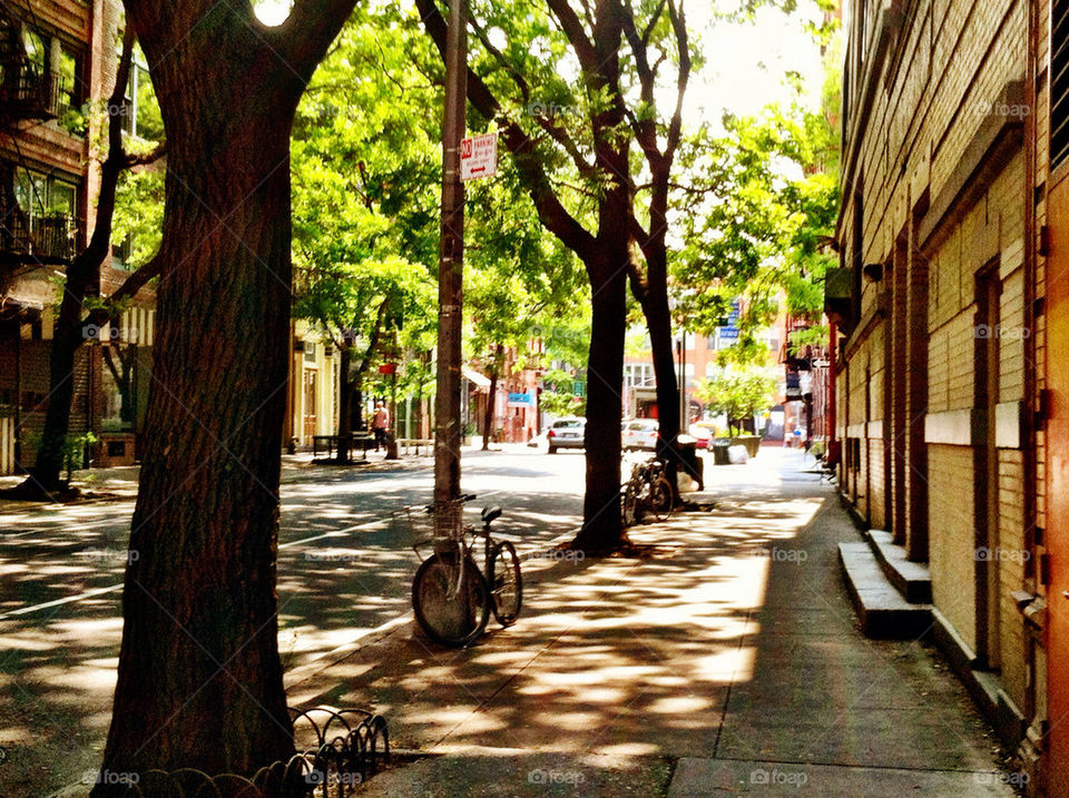 street city trees scene by jasonlowe