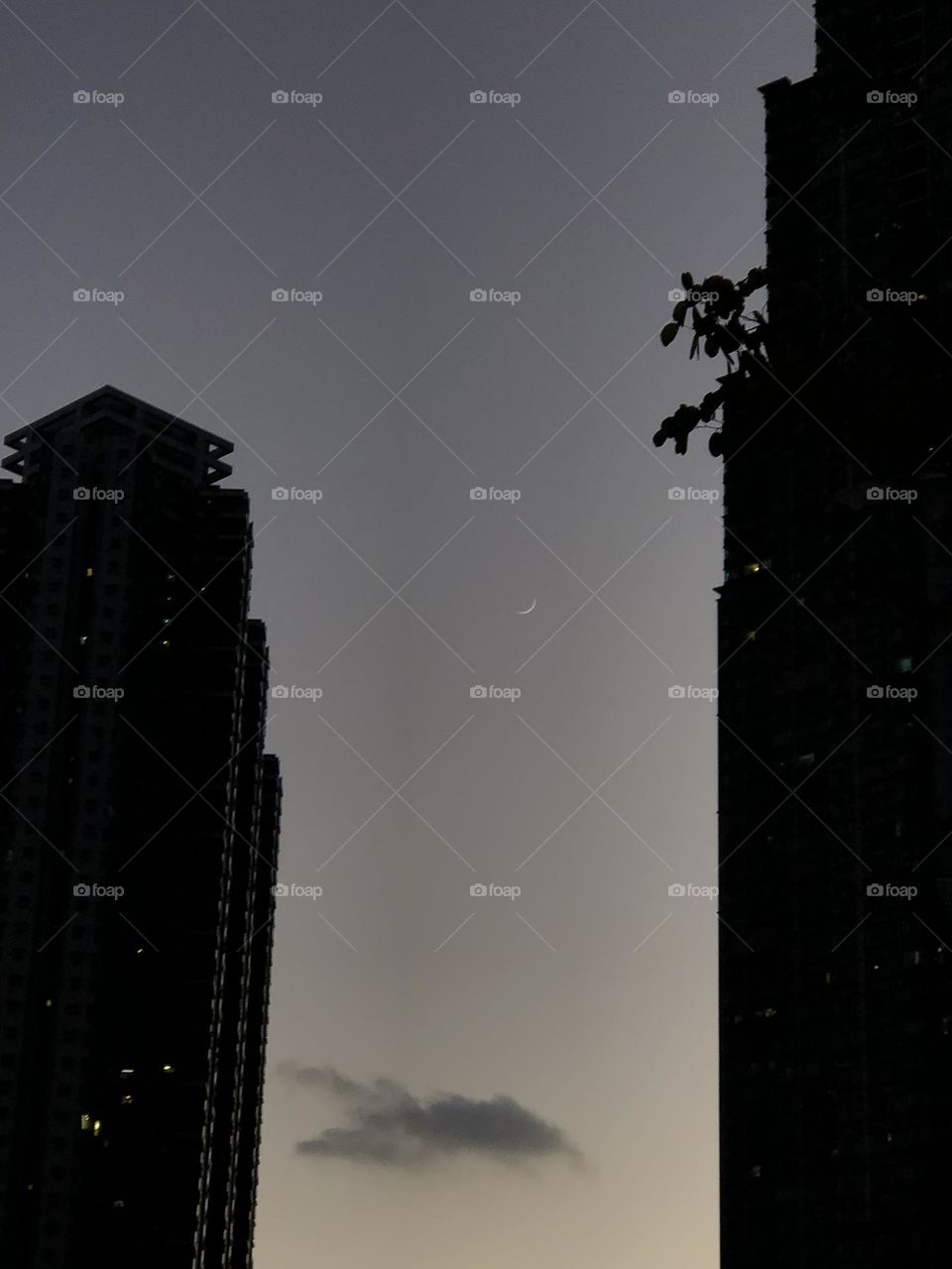 The moon between tall buildings 