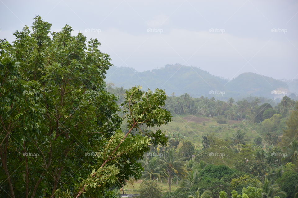 Cebu Mountain