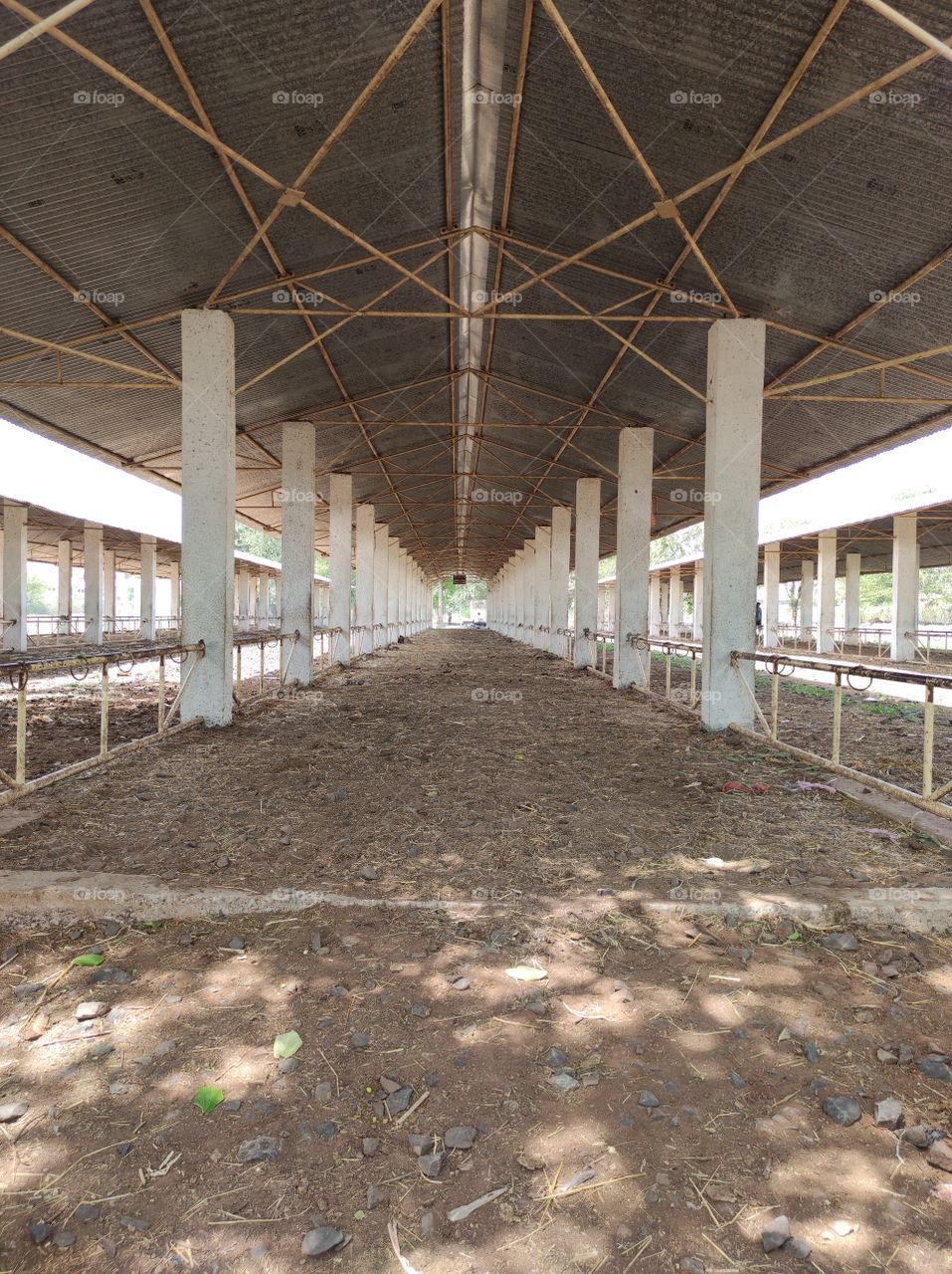 #The Shadows of Tree leaves... 😍