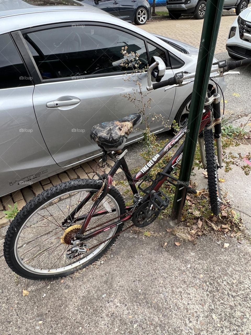 Yinzer bike