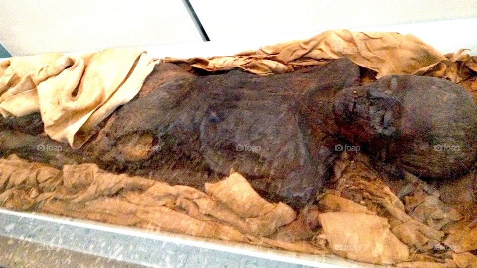 Mummified body 