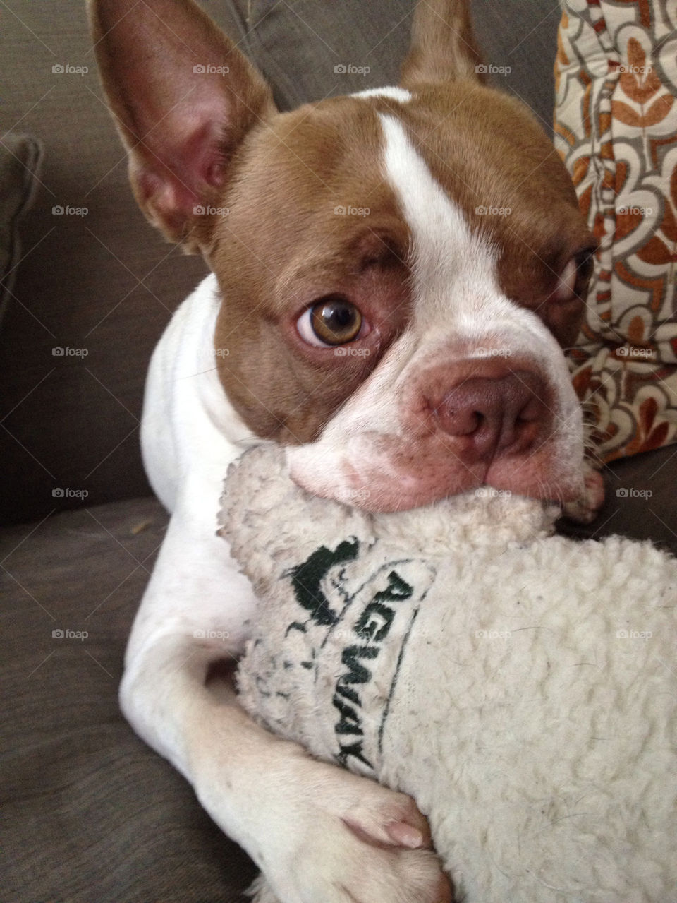 dog toy puppy couch by jessatdiesel