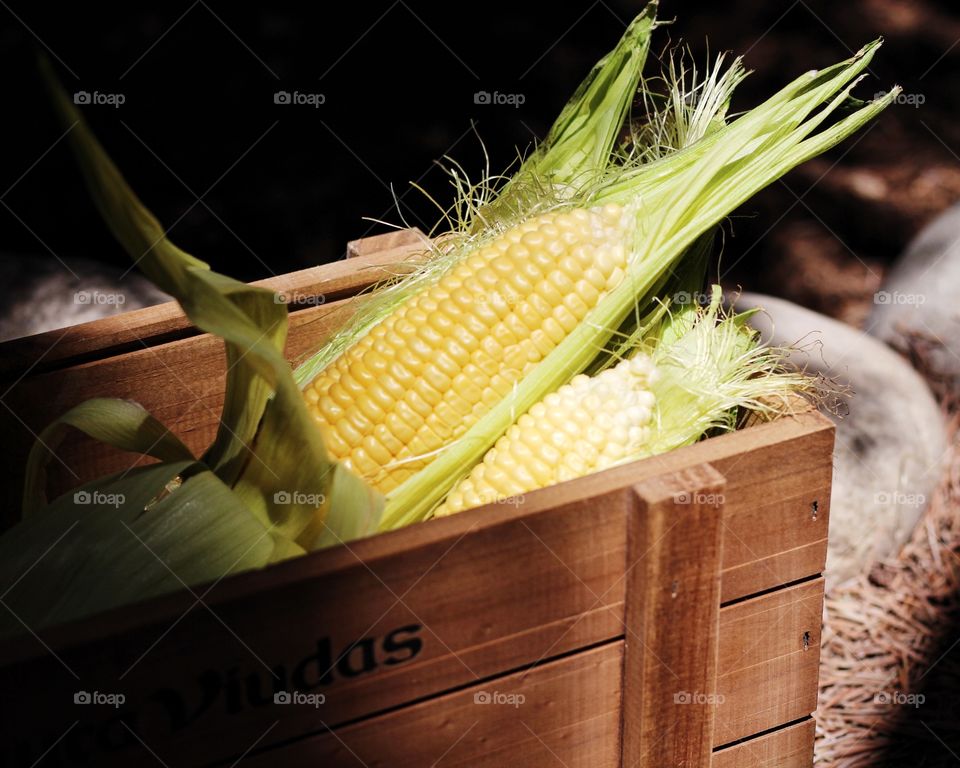 Corn 