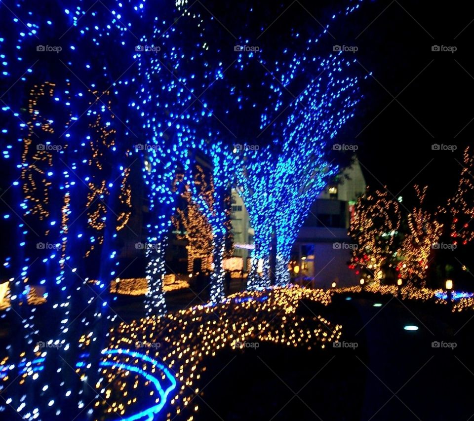 Light, City, Dark, Evening, Illuminated