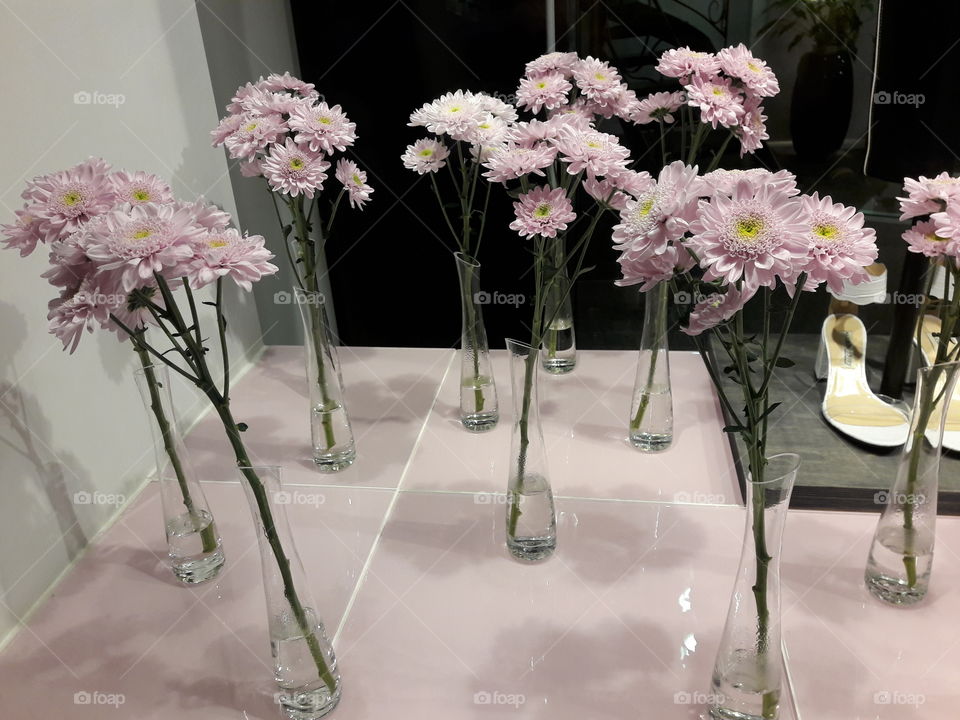 nature city town street statue architecture