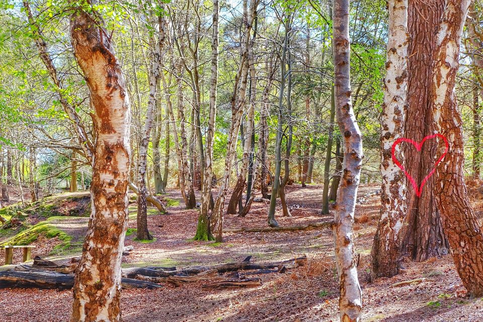 You spot it. You position it. You capture it.