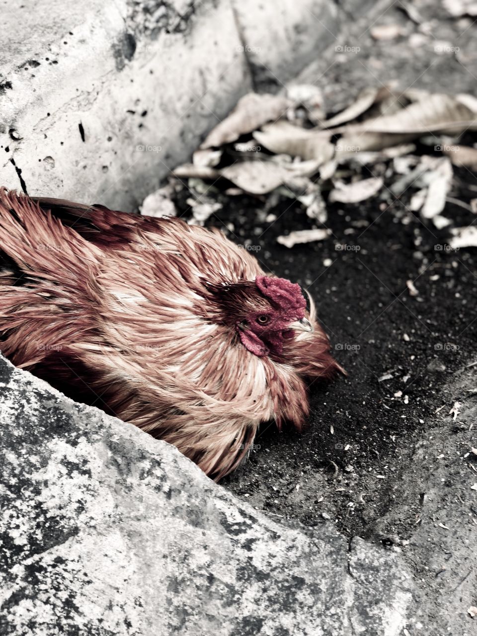 Good times become good memories and bad times become good lessons.