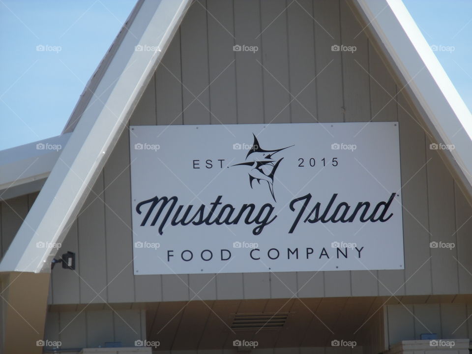 Mustang island. This is a vacation photo 📷 that I took while visiting port Aransas Texas. 👣 🚶 🏃 🔥 💨