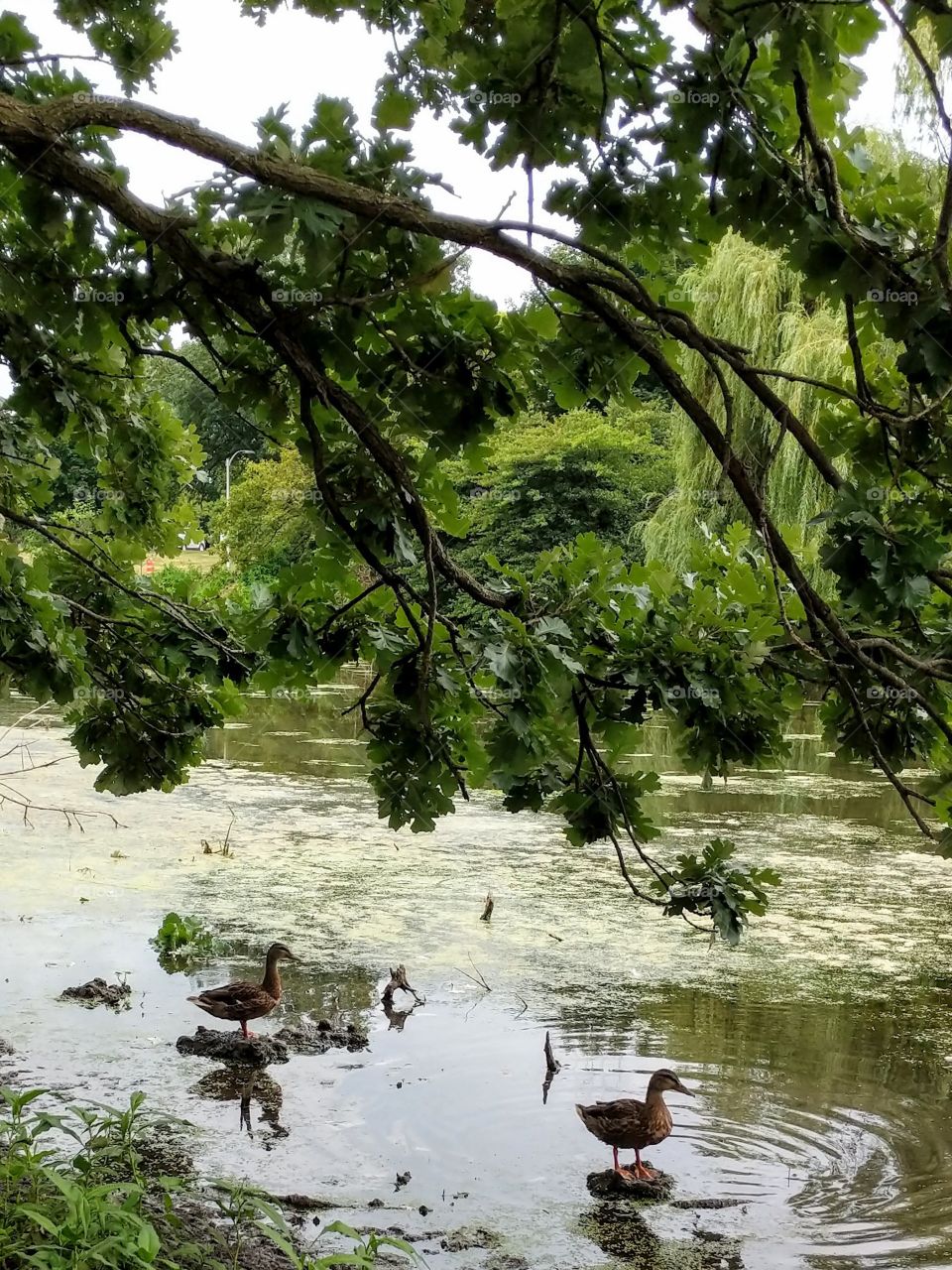 Evening conversation