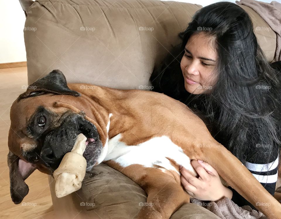 A girl leaning on her boxer as he chews on a rawhide bone 