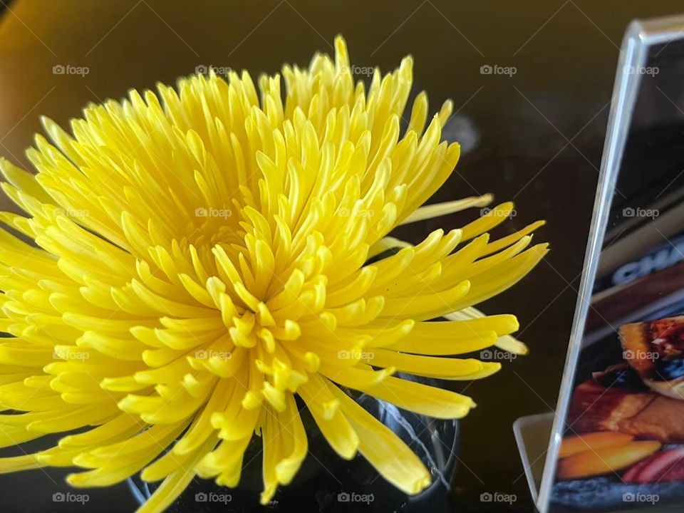 📸Capture the Power of Complementary Colors.