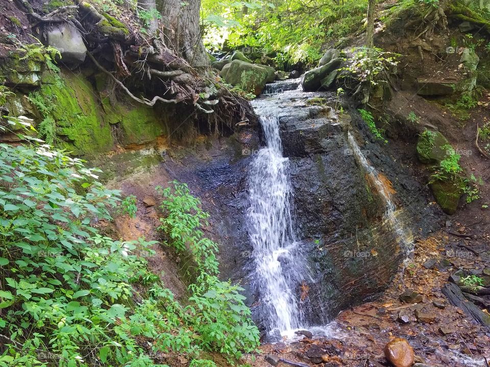 Silverbrook Falls