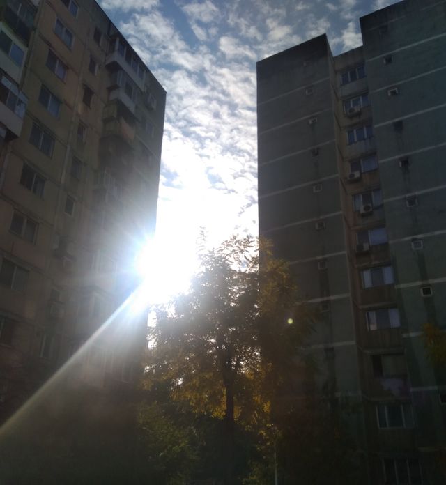 Sunshine