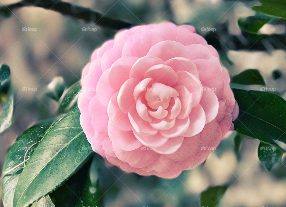 Could it be more perfect?