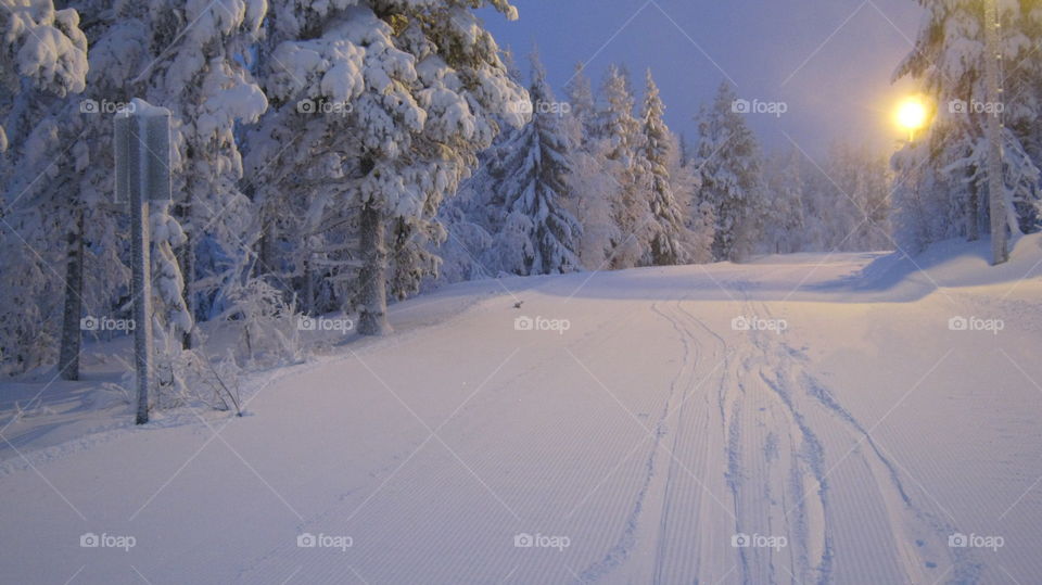 Scenic view of snowy land