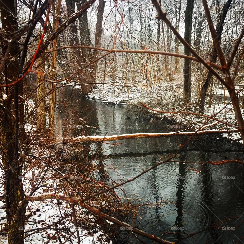 Wakefield, Massachusetts 