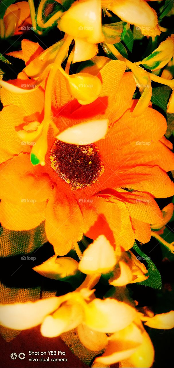 #foap #infoapartemen #foapjuly18 #foapaug18 #foapfeb18 #foapapril17 #foapers #foapjune18 #fotografoaprendiz #sfoapprentices #foaper #infoapartment #foapmission #foapmay18 #foapapr18 #foapit #infoaplikasipaytren #infoapple #foapom #foapjan19 #infoapp 