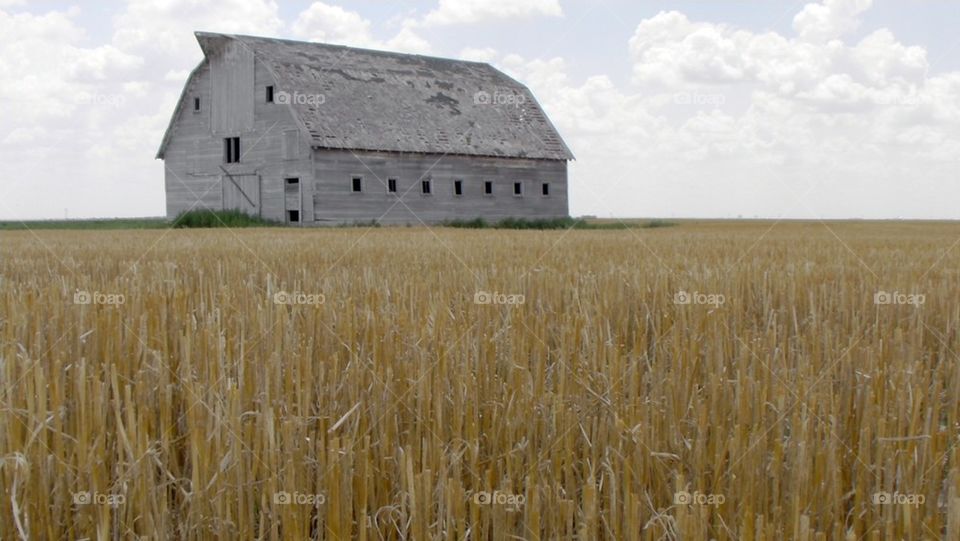 Barn