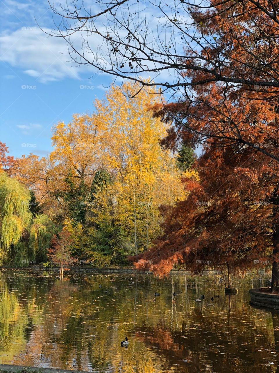 Is autumn a painting?