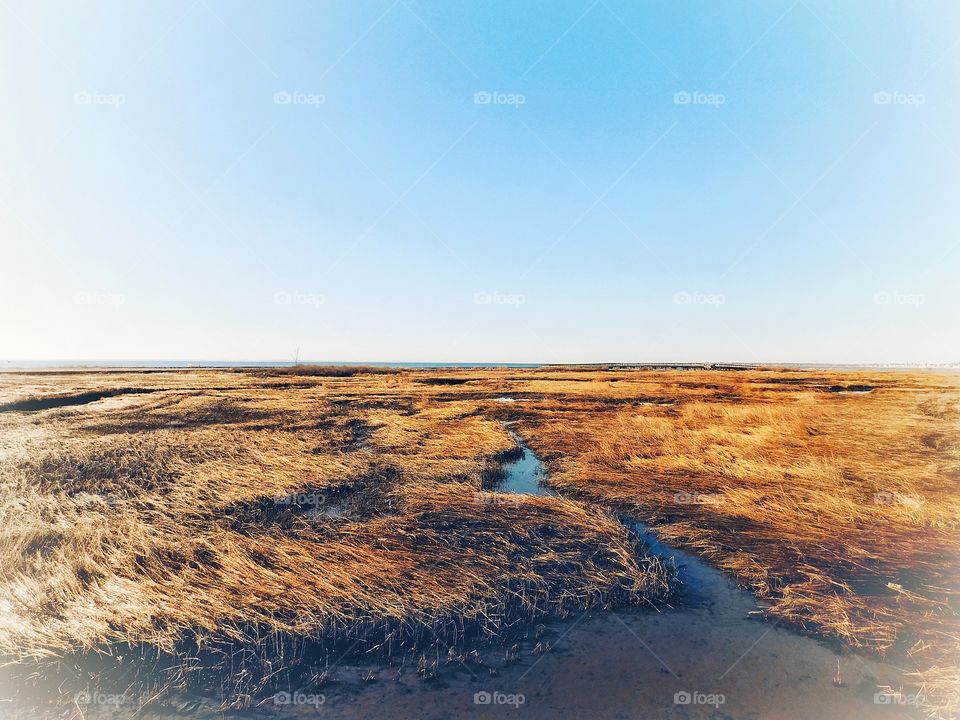 Silver Sands State Park