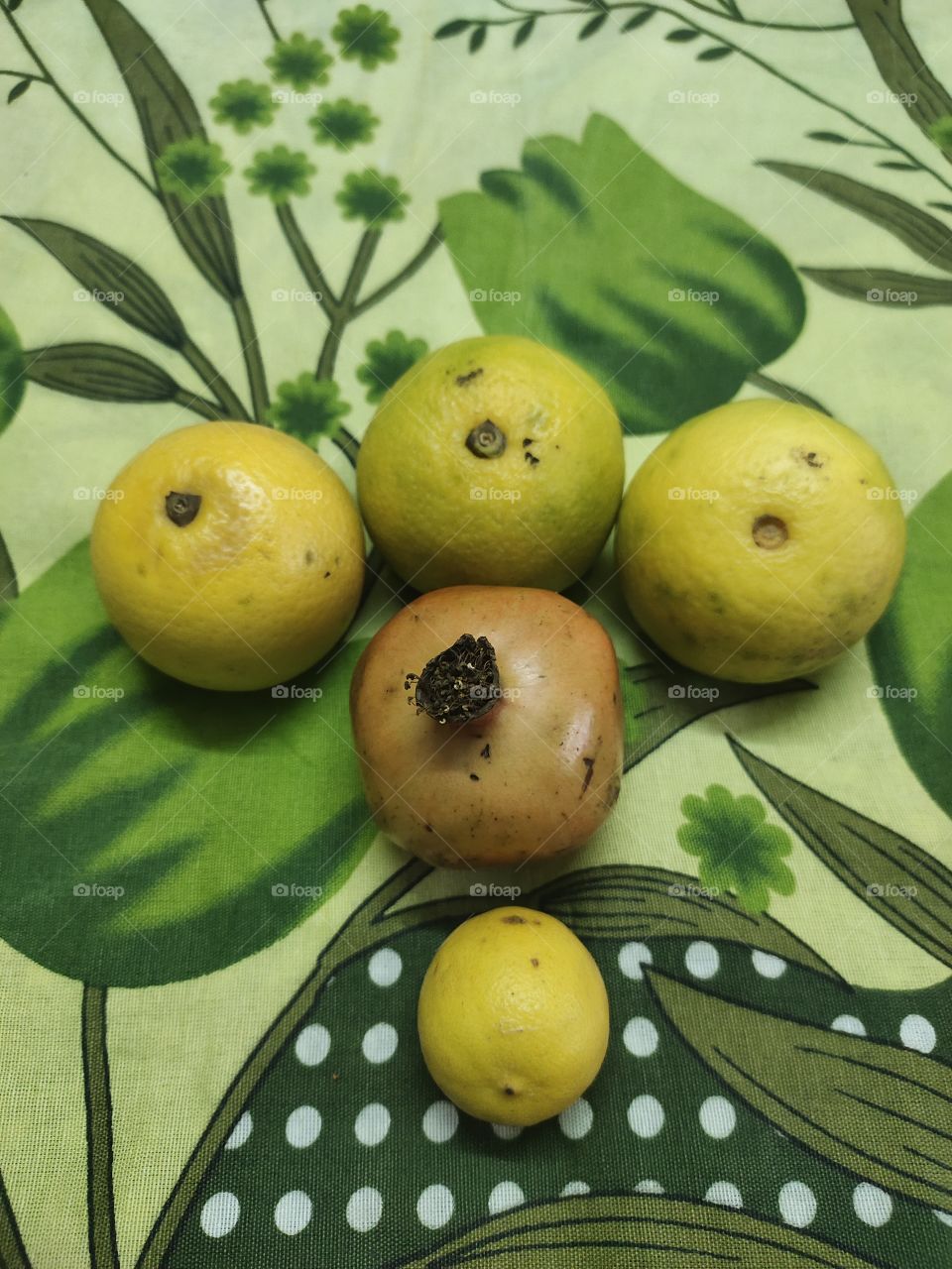 Fruits Family Metting

Orange, pomegranate And Lemon
Sweet and Sour Mix
with Natural Background