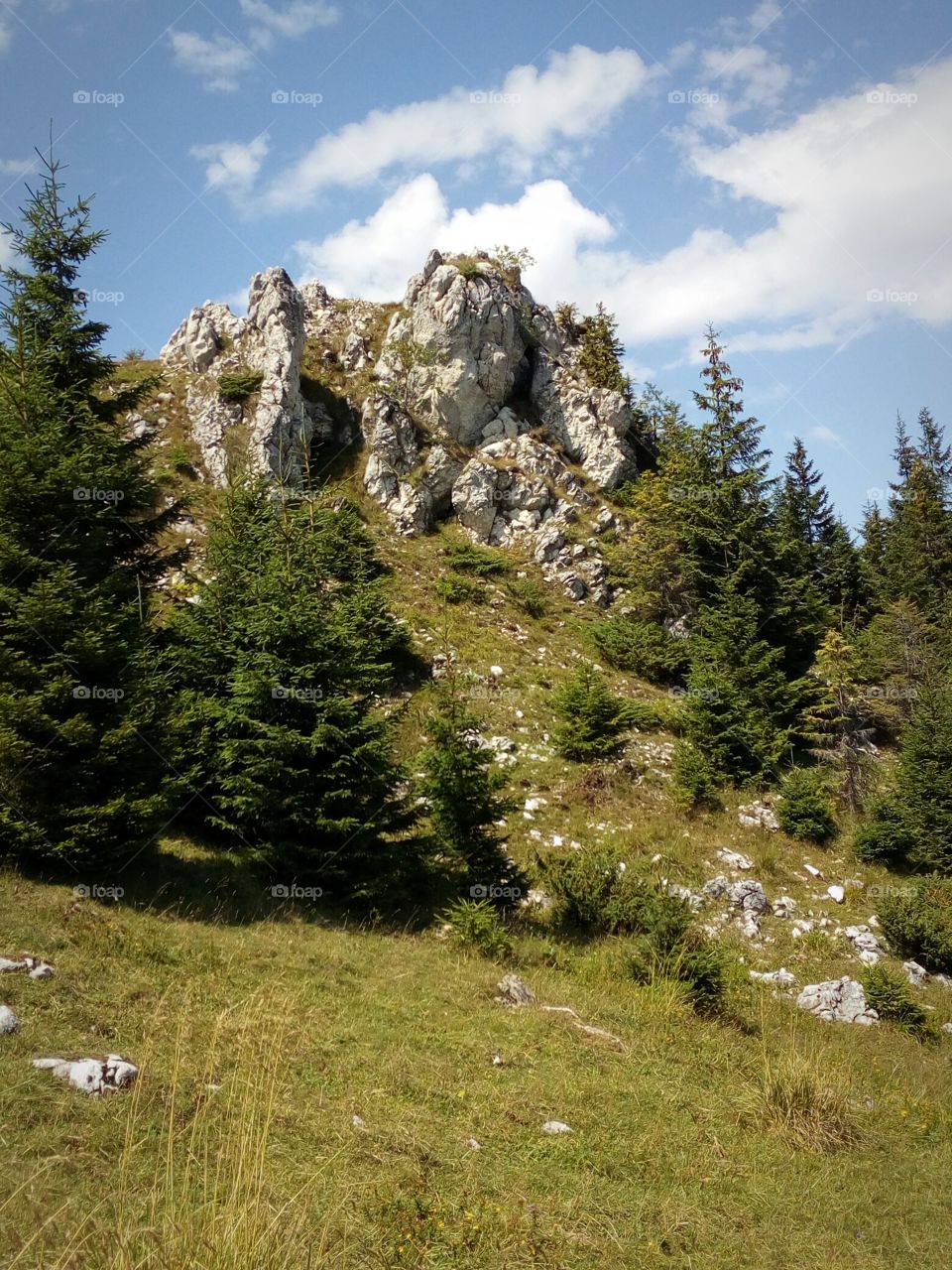 Piatra