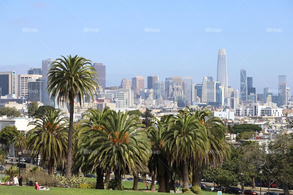 city view behind palm trees