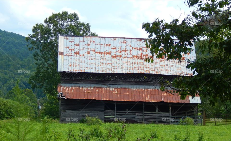 old barn in green field