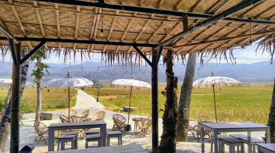 A view of the rice fields of Kulon Progo, Yogyakarta in Indonesia.