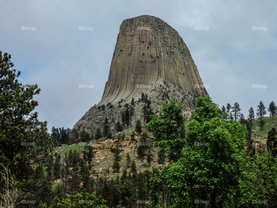 Devil's Tower