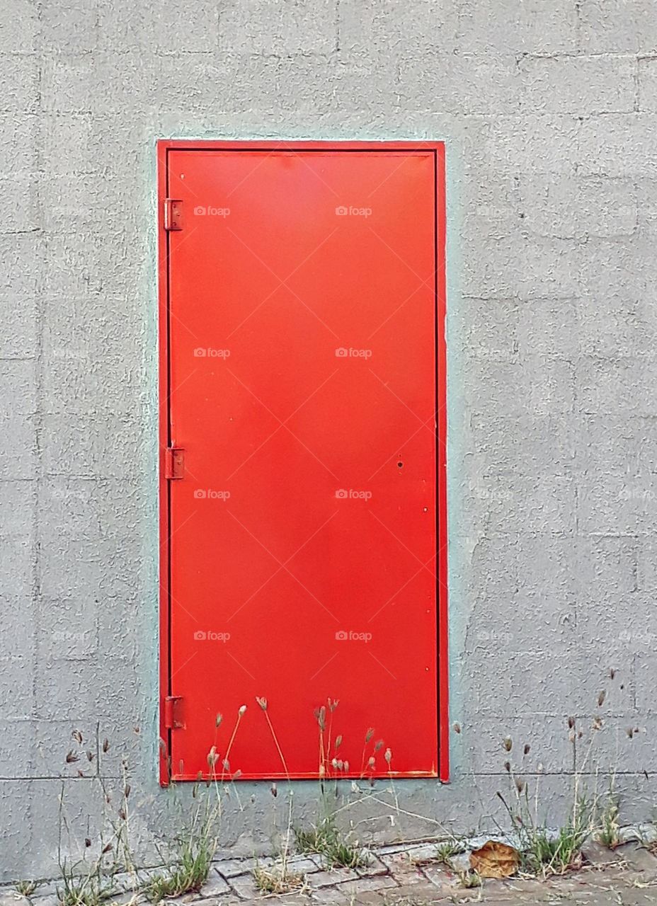 The Red Door