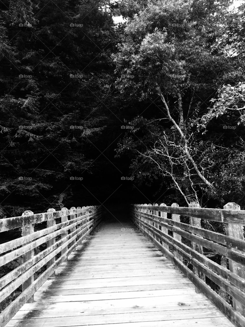 Black and white footbridge 
