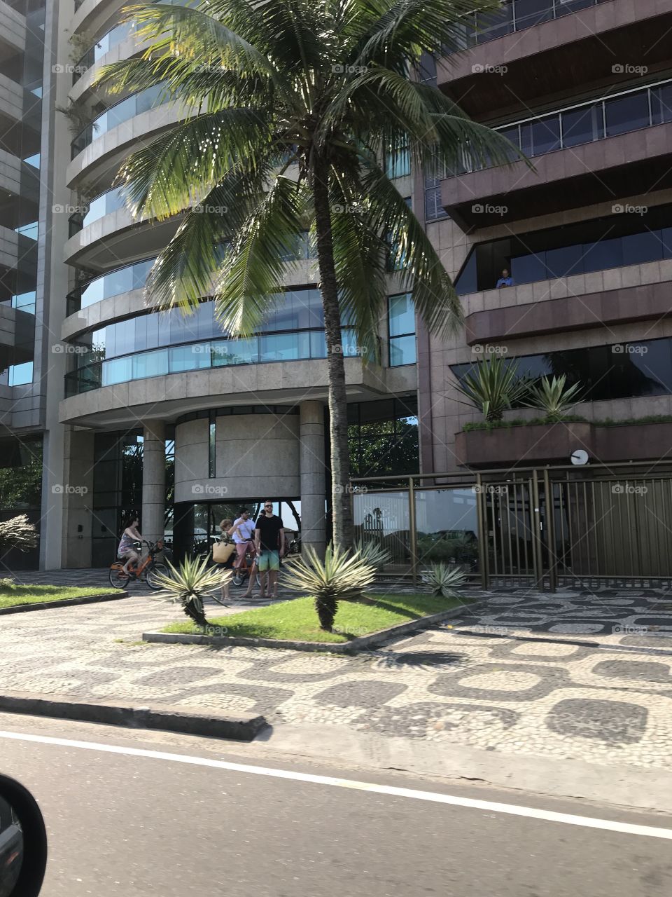 Nature snaps inside Rio beautiful City