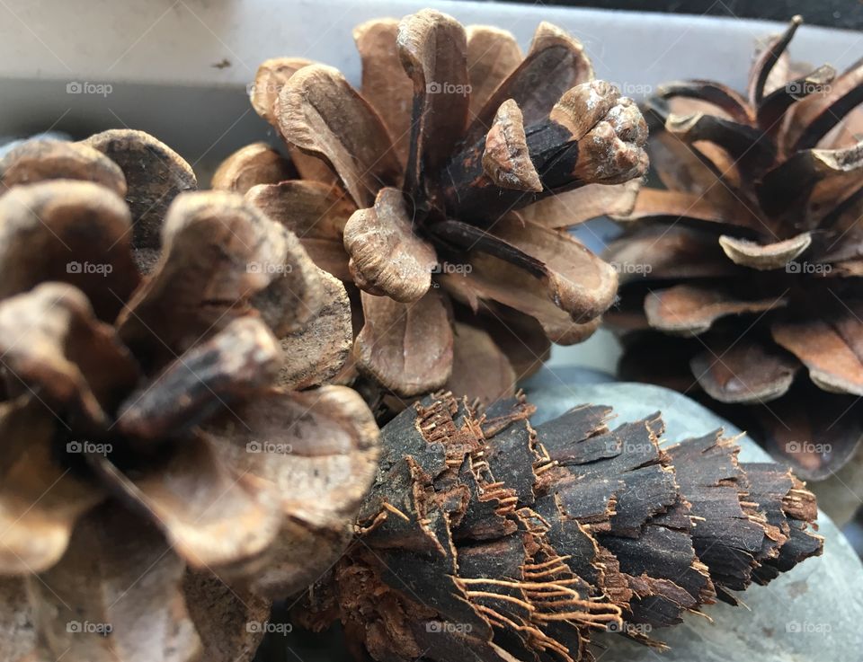 A child’s natural treasure from walks, playing and exploring the woods with his friends. Pine cones, leaves and rocks make the best decorations.