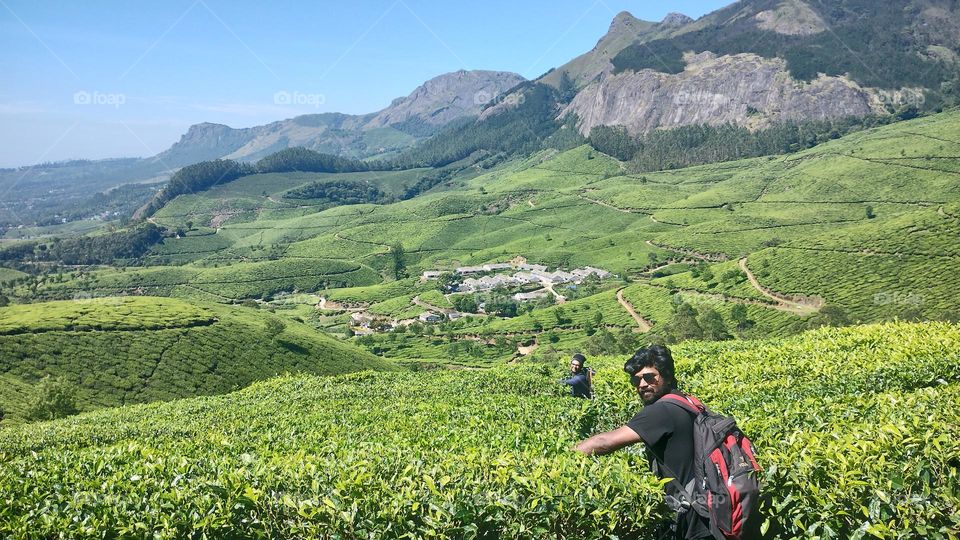 A walk in nature walks the soul back home.” – ...